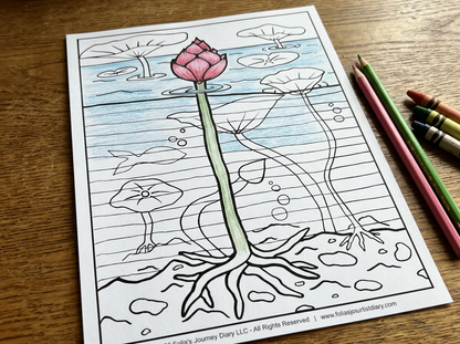 Reflection Coloring Cards Collections